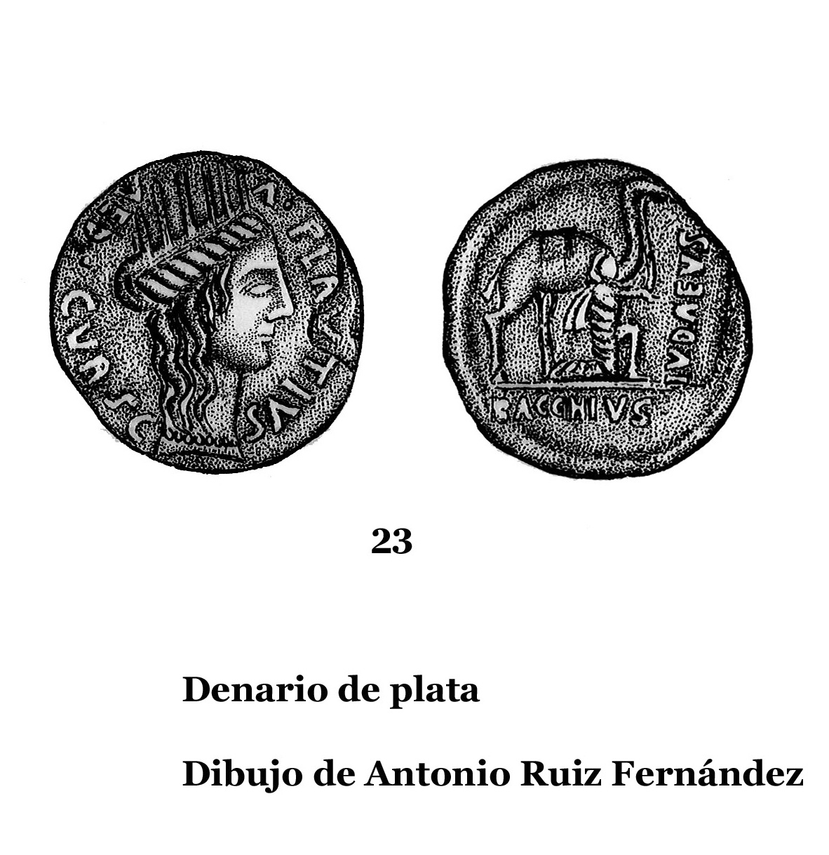 23DENARIOS DE PLATA, DIBUJOS 23 copia