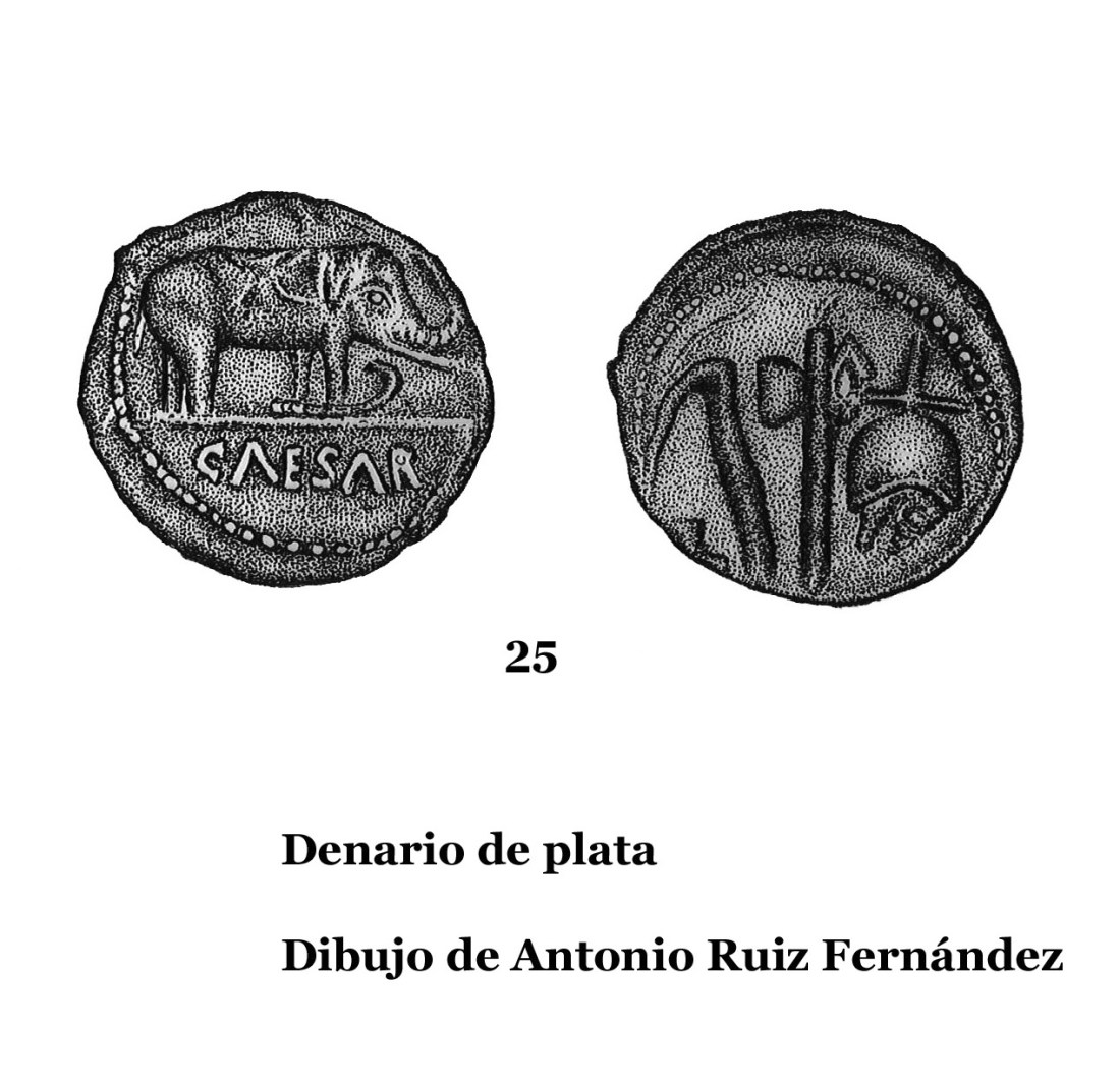 25DENARIOS DE PLATA, DIBUJOS 25