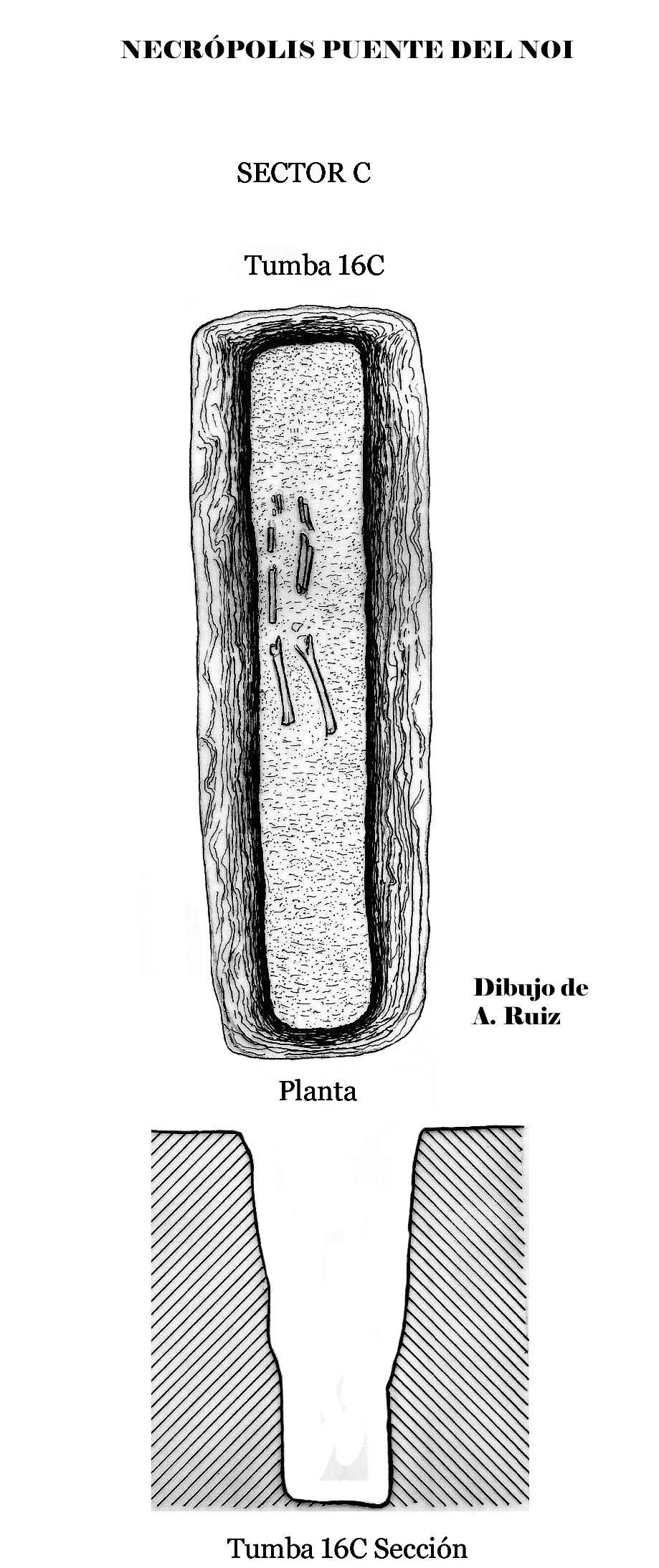 16Puente del Noi sector 16C copia (2)
