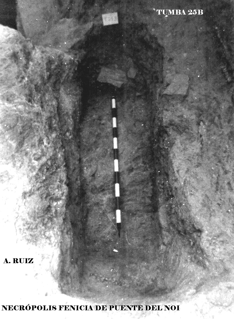 25BPuente del Noi Sector B 6. pg copia