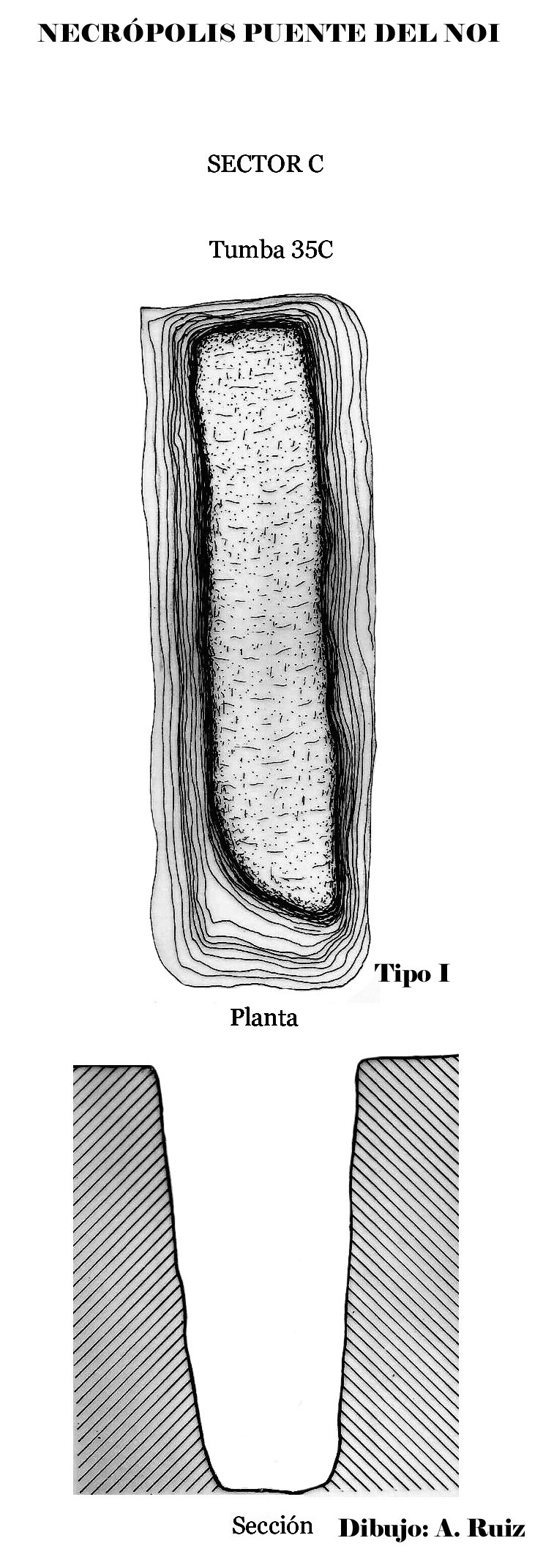 35Puente del Noi sector 35C copia (2)