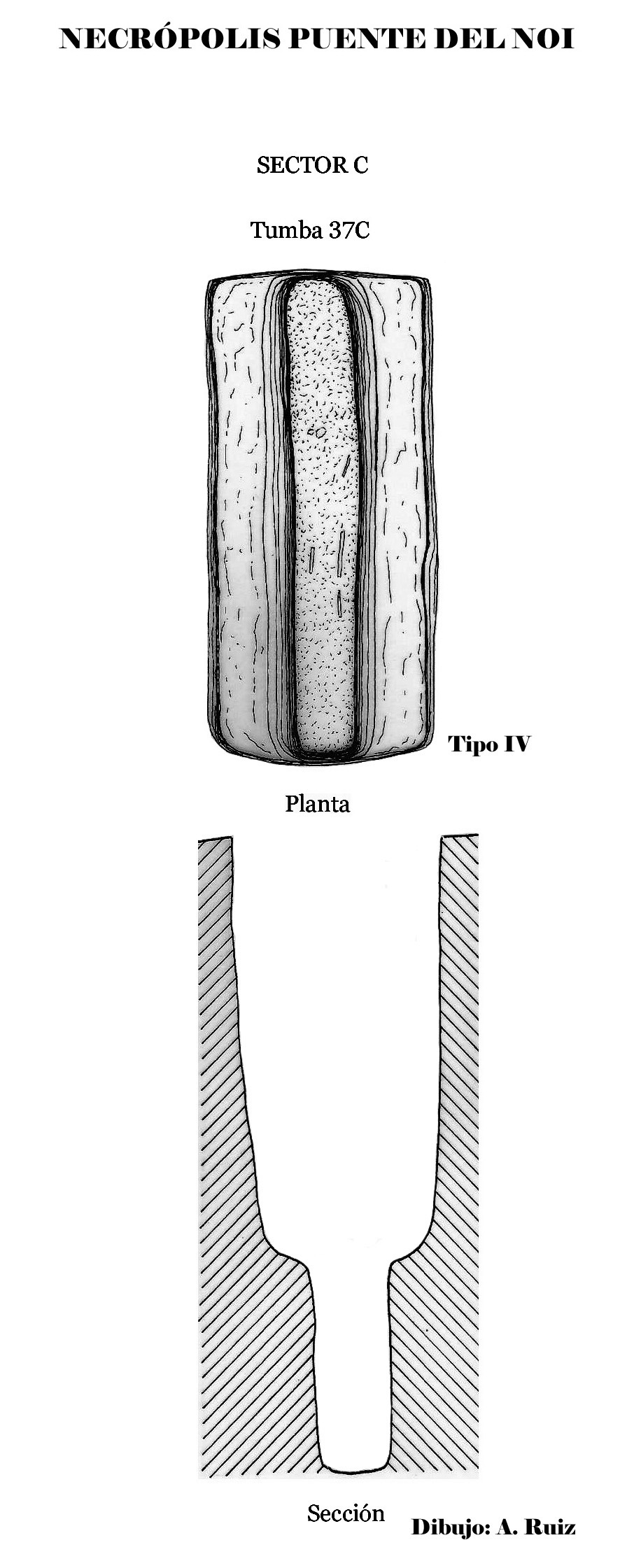 37Puente del Noi sector 37C copia (2)