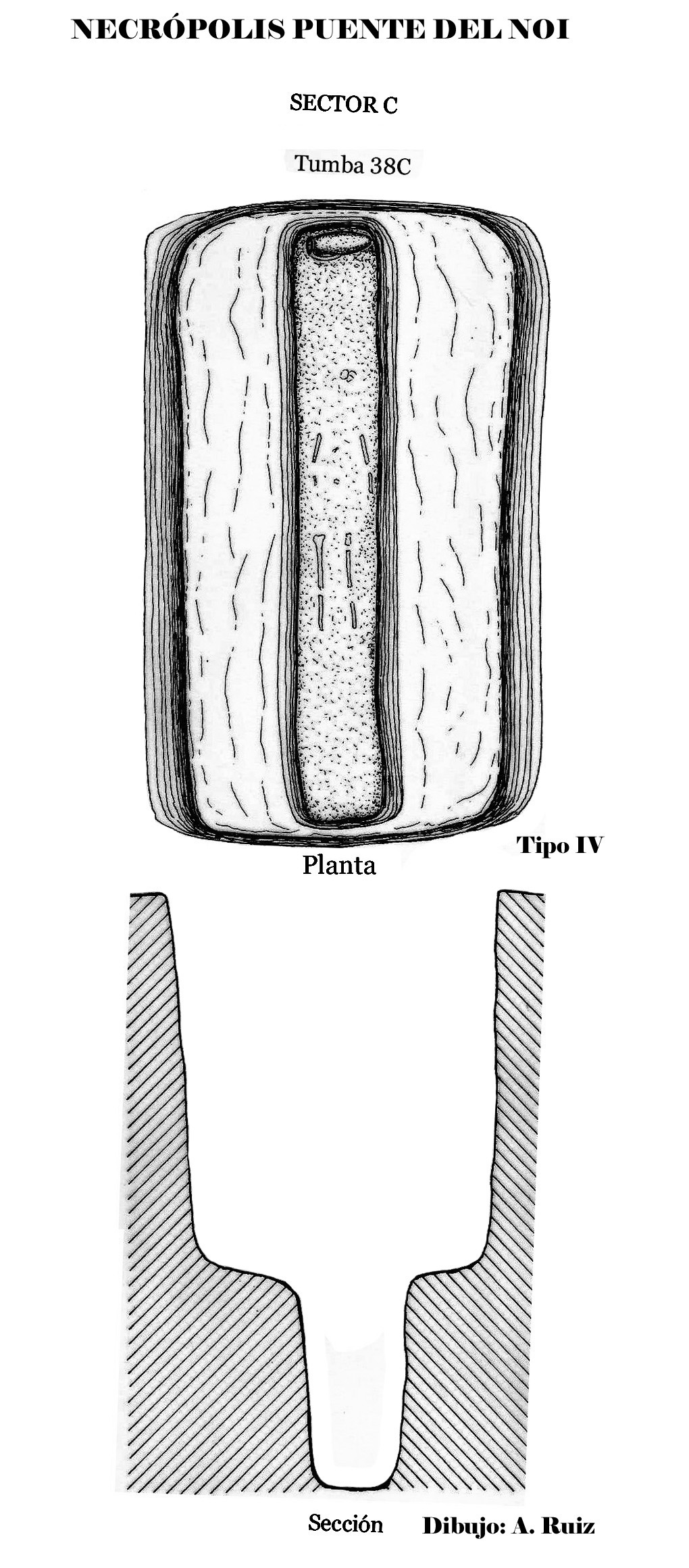 38Puente del Noi sector 38C copia (2)