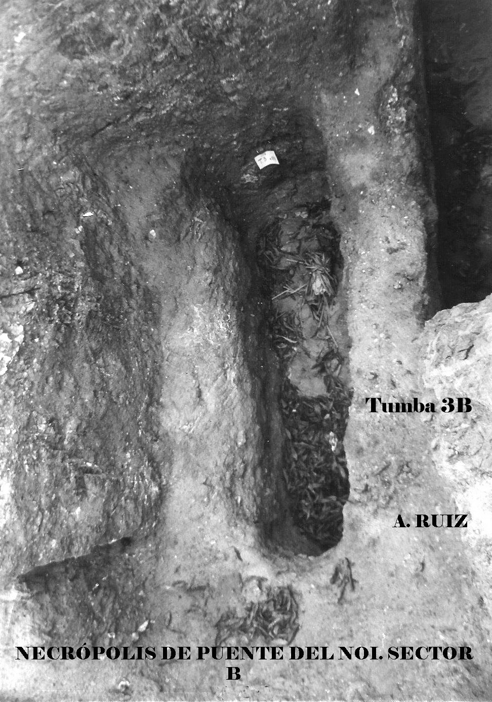 3BPuente del Noi Sector B 3. pg copia