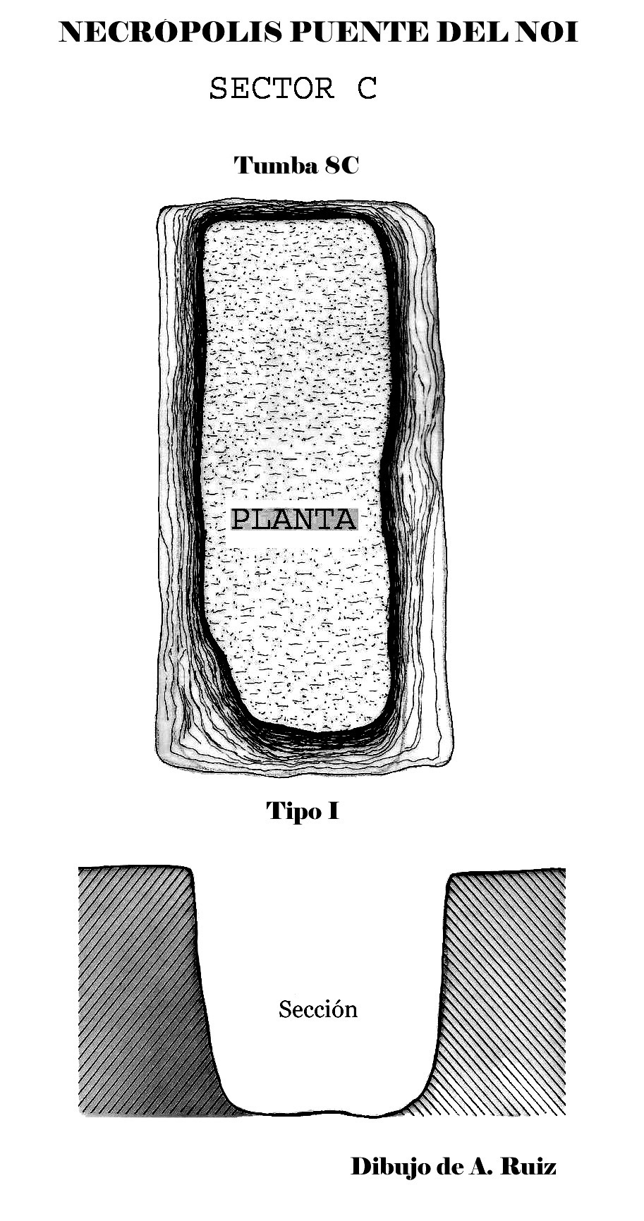 8Puente del Noi sector 8C copia (2)