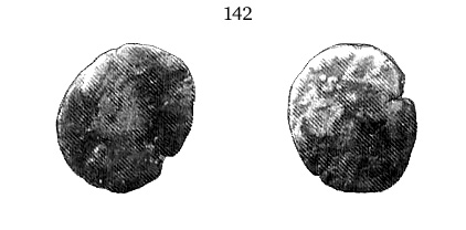 142 MONEDAS FOTOS MOTRIL SALOBREÑA CONSTANTE copia