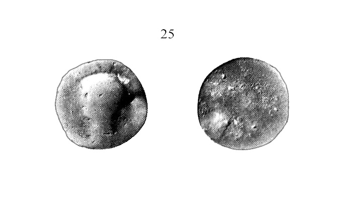 25 MONEDAS FOTOS MOTRIL SALOBREÑA EMERITA