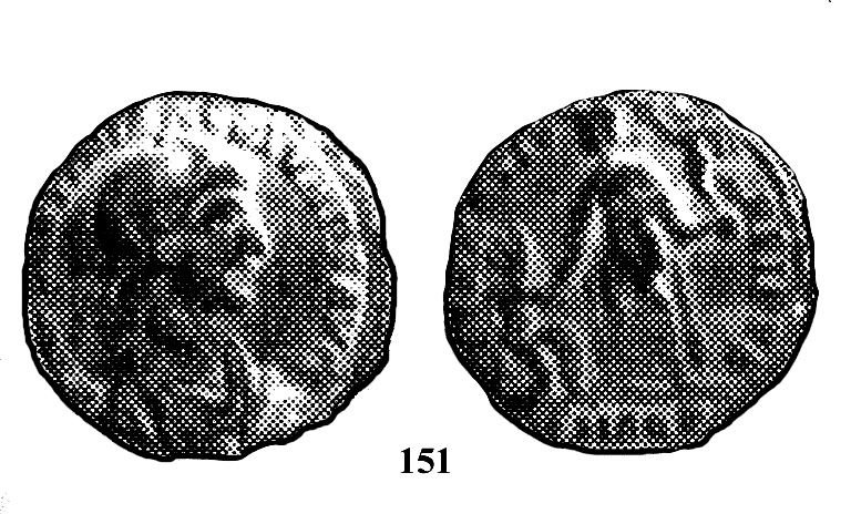 151 PALANCO BURGOS copia