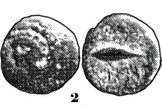 2 POLANCO BURGOS copia