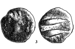 3 PALANCO BURGOS (2) copia
