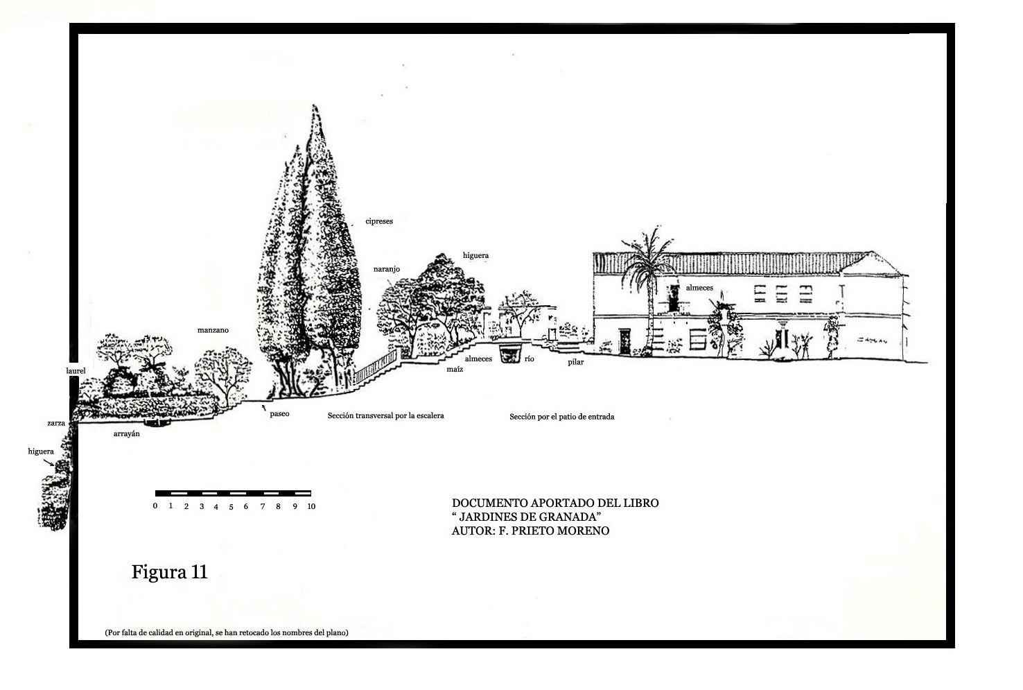 11VÉLEZ BENAUDALLA FIGURA 11 copia