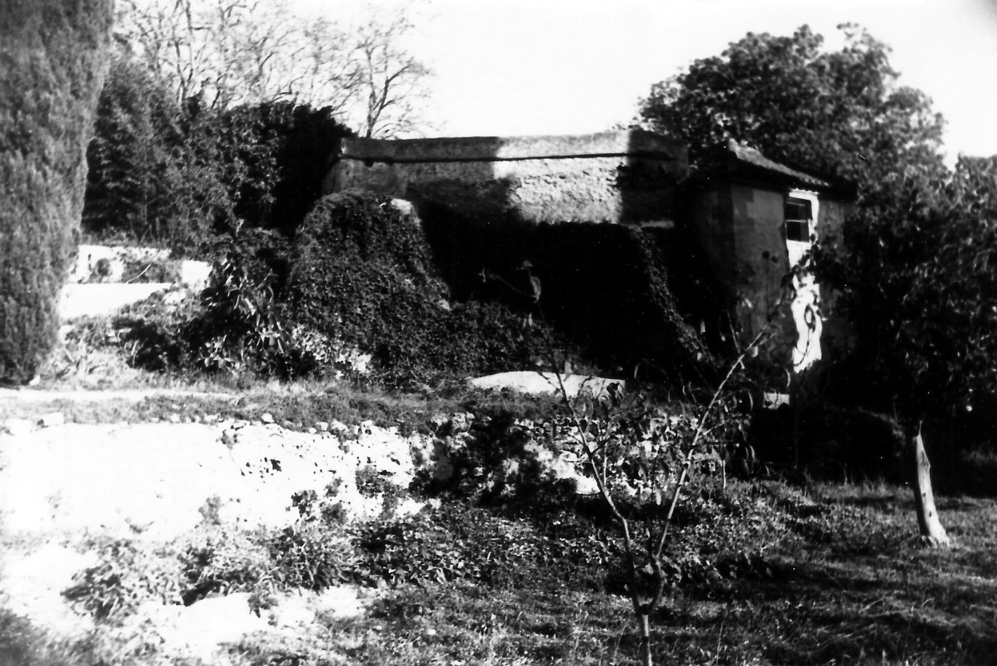 2BISVÉLEZ BENAUDALLA foto 28 copia