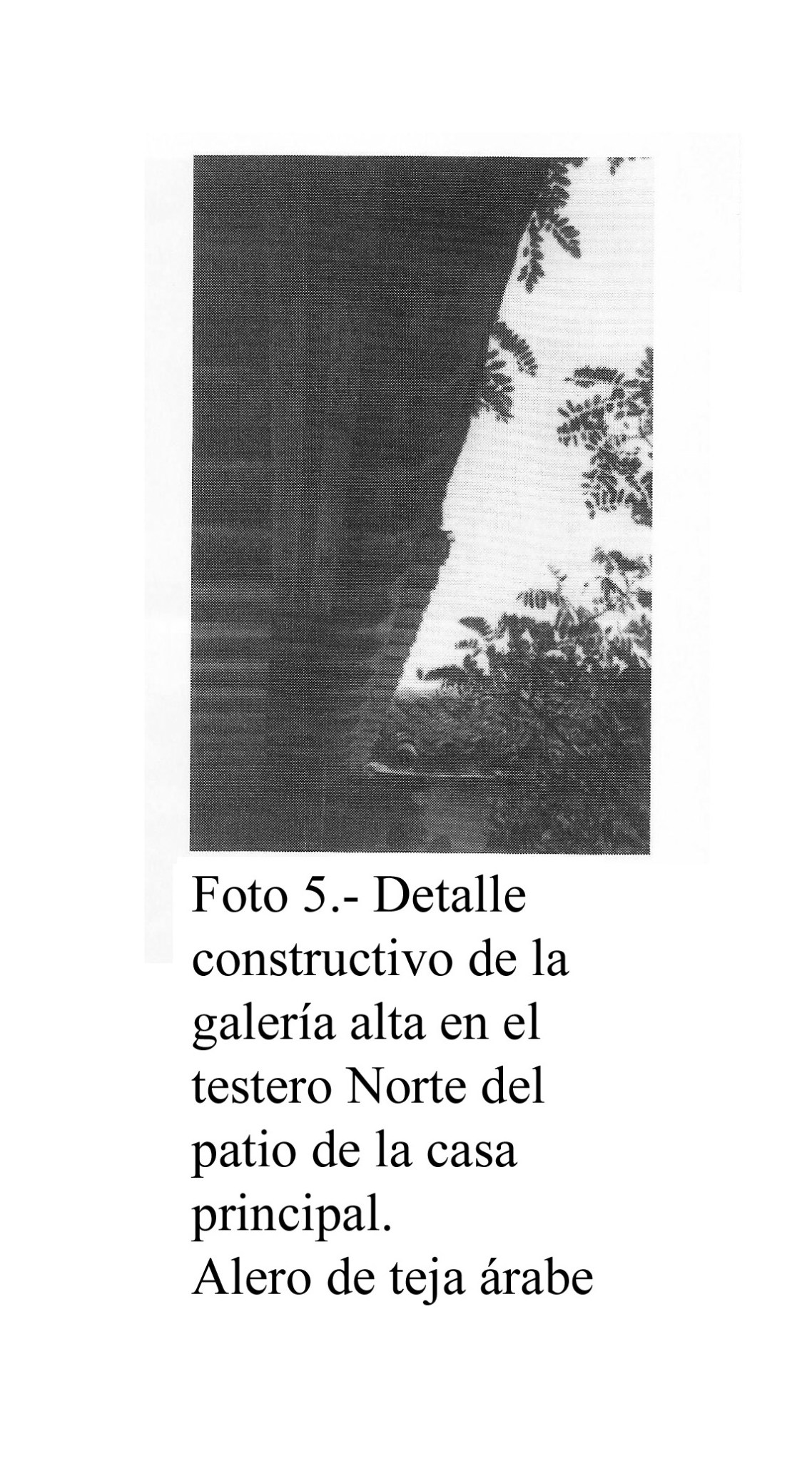 5VÉLEZ BENAUDALLA foto 5 copia