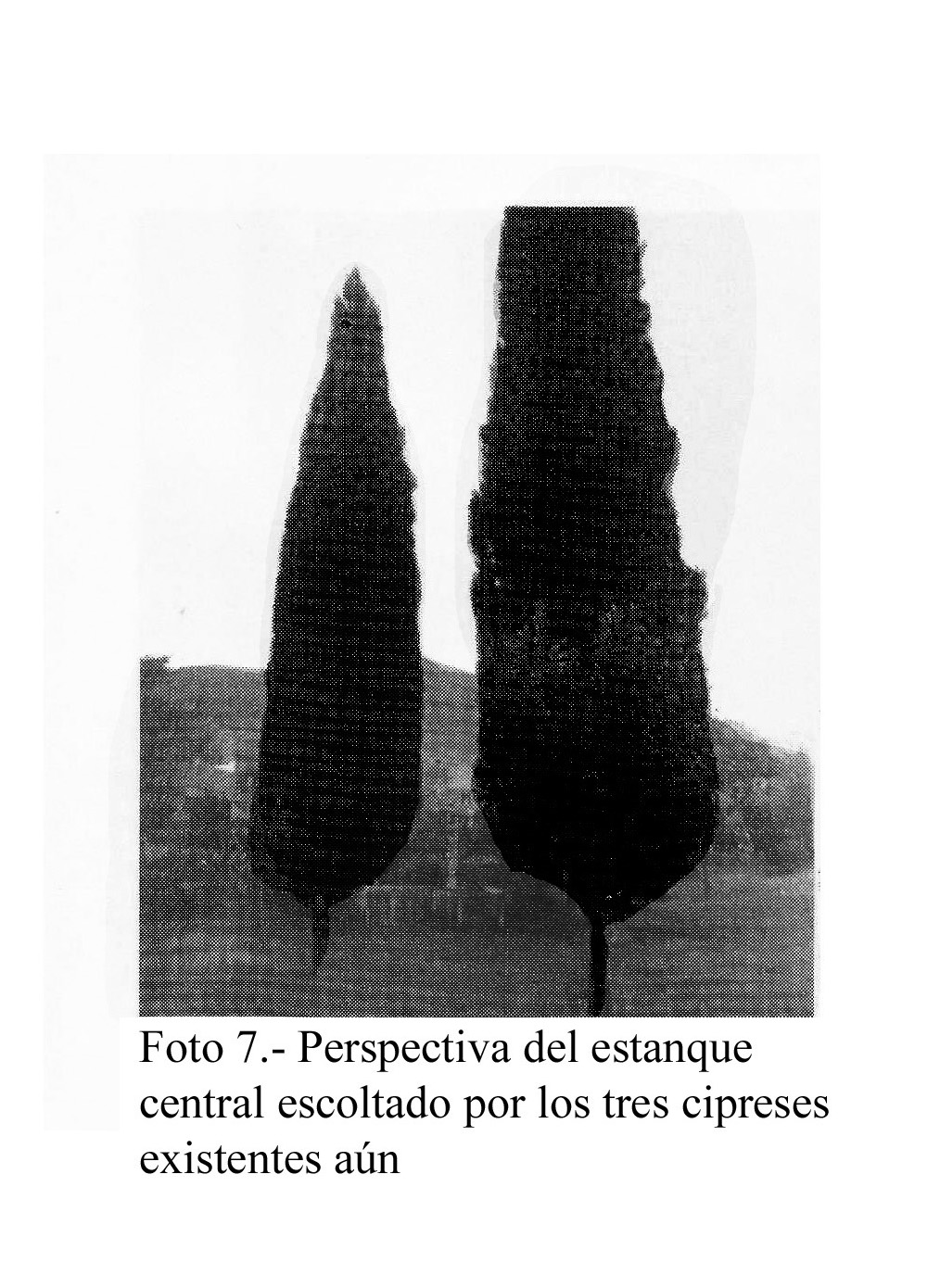 7VÉLEZ BENAUDALLA foto