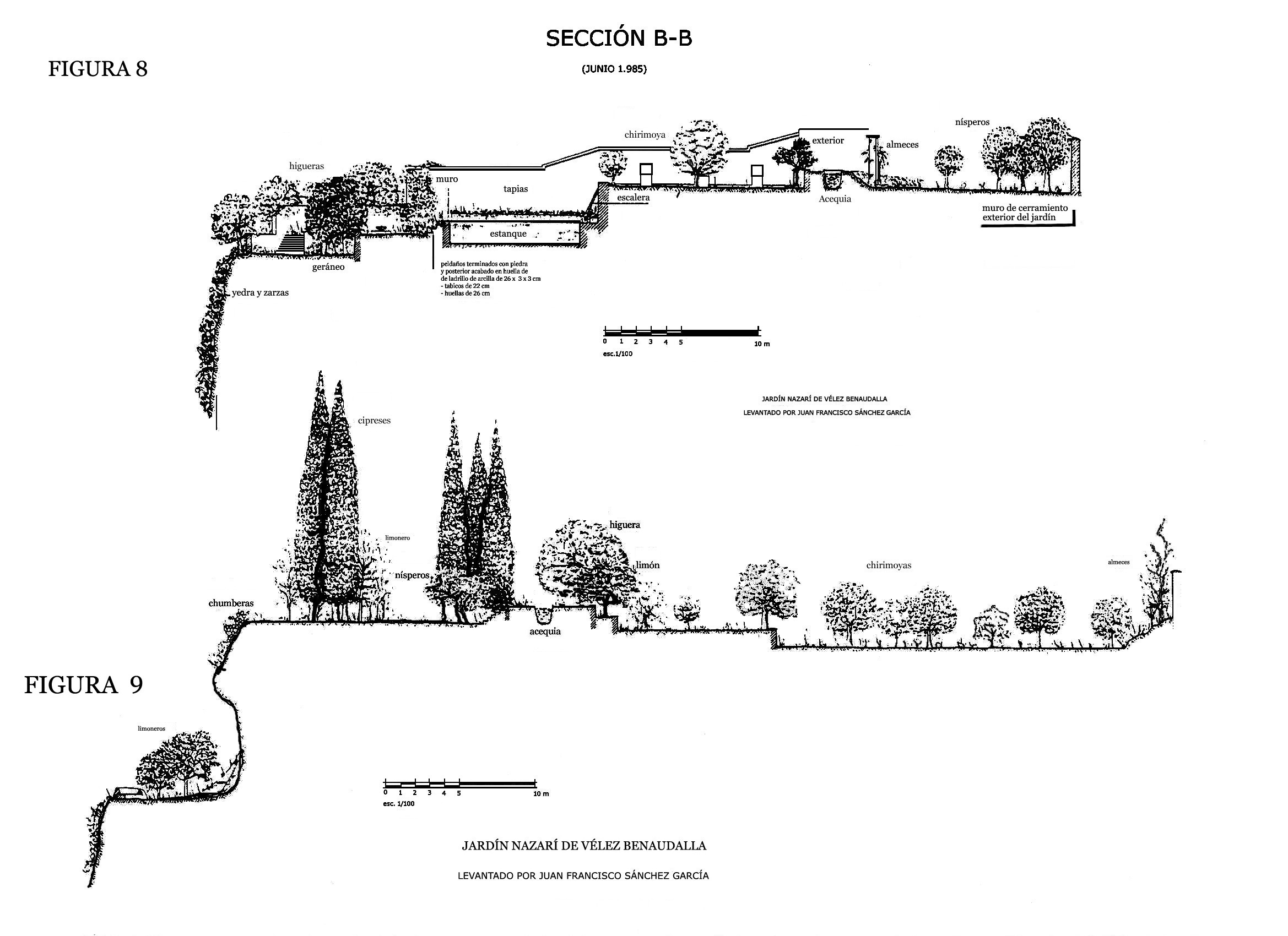 8 9VÉLEZ BENAUDALLA PLANOS Figura 8 y 9 listo 1 SECCIÓN B B PRIMERA IMAGEN copia