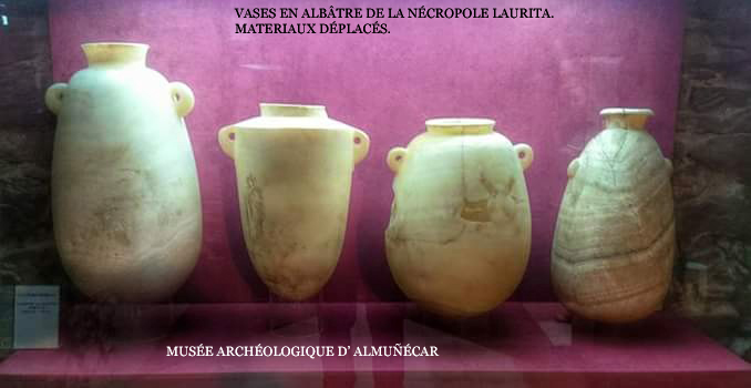 12294877_10206461268789278_2496743413916450922_n copia