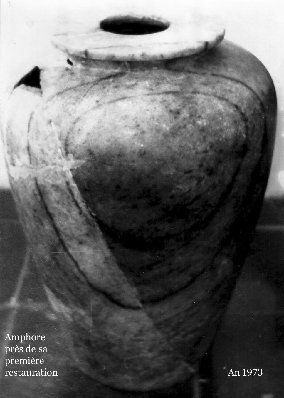 1Ánfora completa copia