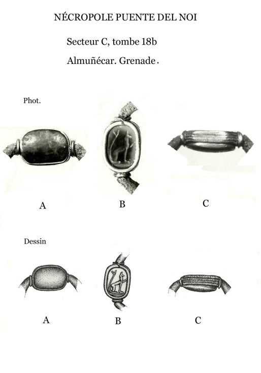 4Escarabeo dib 4 (1) copia