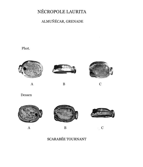 6Escarabeo dib 10, 6 copia