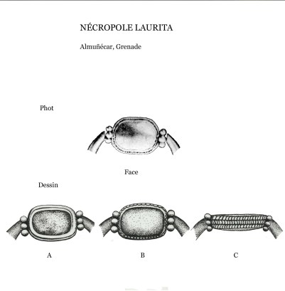 8Escarabeo dib 9 copia