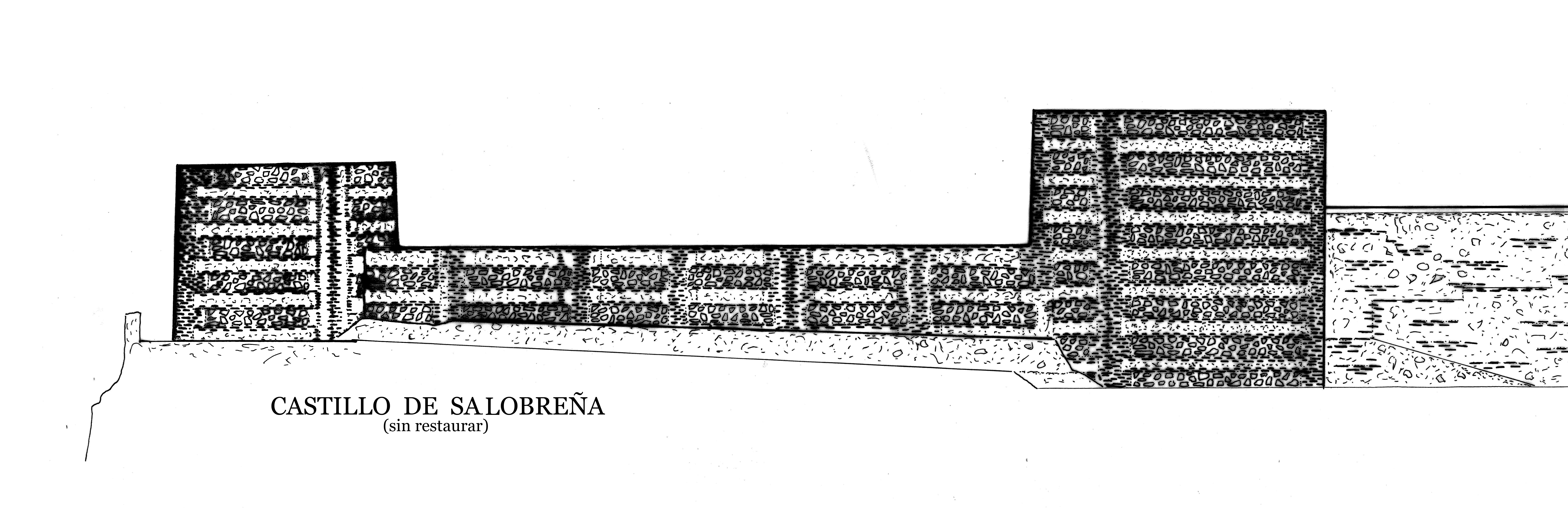 14A LATERAL 5EL CASTILLO DE SALOBREÑA jpg. copia - copia