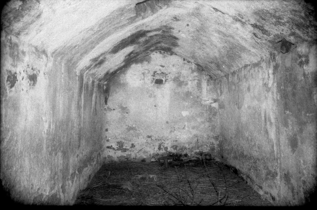 La imagen tiene un atributo ALT vacío; su nombre de archivo es img421.jpg