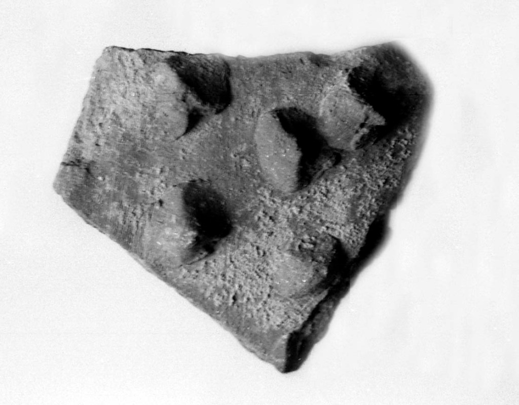 La imagen tiene un atributo ALT vacío; su nombre de archivo es img484.jpg