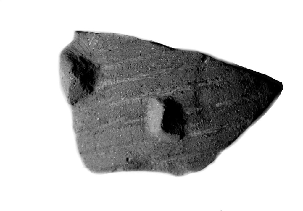 La imagen tiene un atributo ALT vacío; su nombre de archivo es img485.jpg