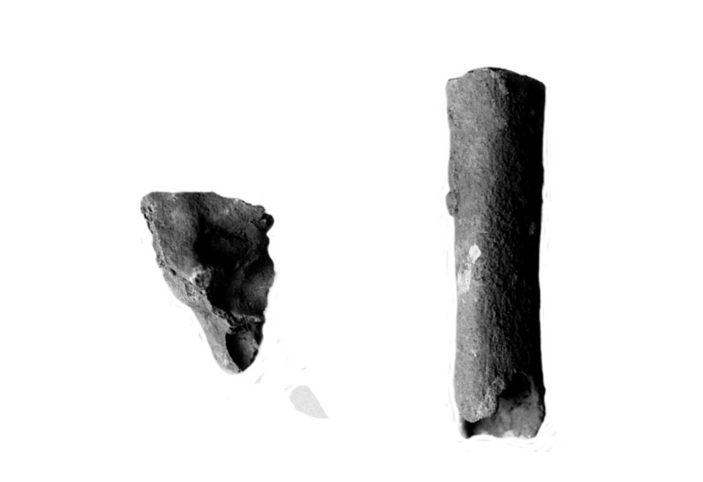 La imagen tiene un atributo ALT vacío; su nombre de archivo es img493.jpg