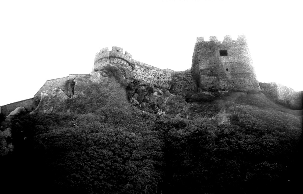 La imagen tiene un atributo ALT vacío; su nombre de archivo es img648-2.jpg