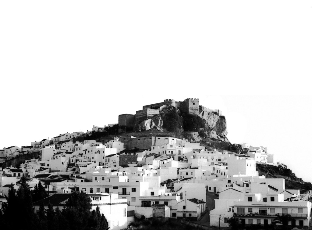 La imagen tiene un atributo ALT vacío; su nombre de archivo es img781-2.jpg