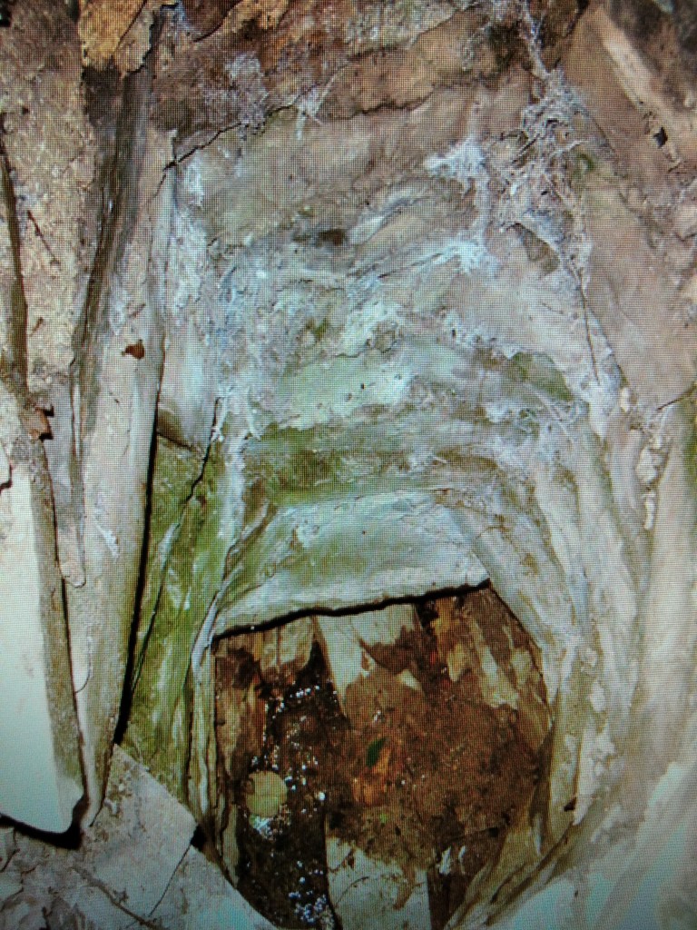 La imagen tiene un atributo ALT vacío; su nombre de archivo es 1633177442963.jpg