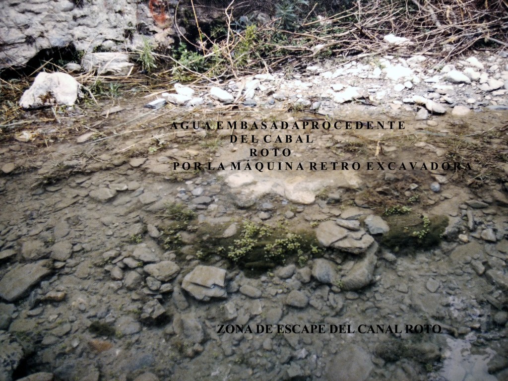 La imagen tiene un atributo ALT vacío; su nombre de archivo es img_20211104_105027_1-copia.jpg