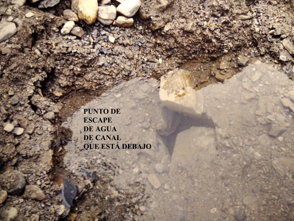 La imagen tiene un atributo ALT vacío; su nombre de archivo es img_20211104_105048_1-copia.jpg