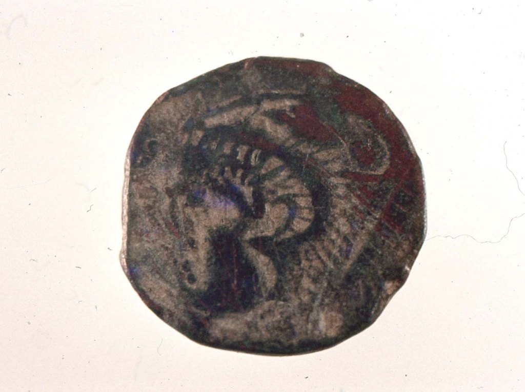 La imagen tiene un atributo ALT vacío; su nombre de archivo es 5img702-2.jpg